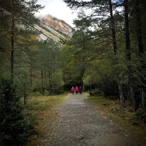 foto paseo bosque gente 2 - Spain Natural Travel