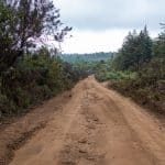 A muddy road going through the trees under the blue sky in Mount Kenya